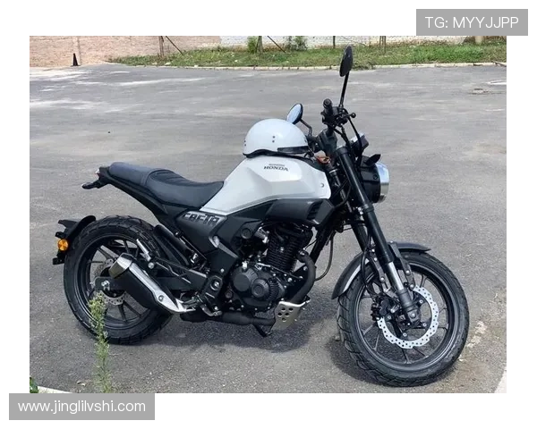 12980元!新大洲本田发布运动复古CB190TR