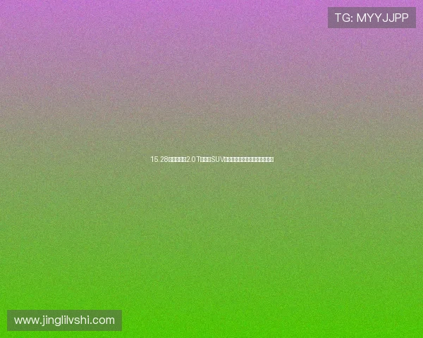 15.28万元买一台2.0T的中型SUV，星途瑶光真实惠，就是长得丑